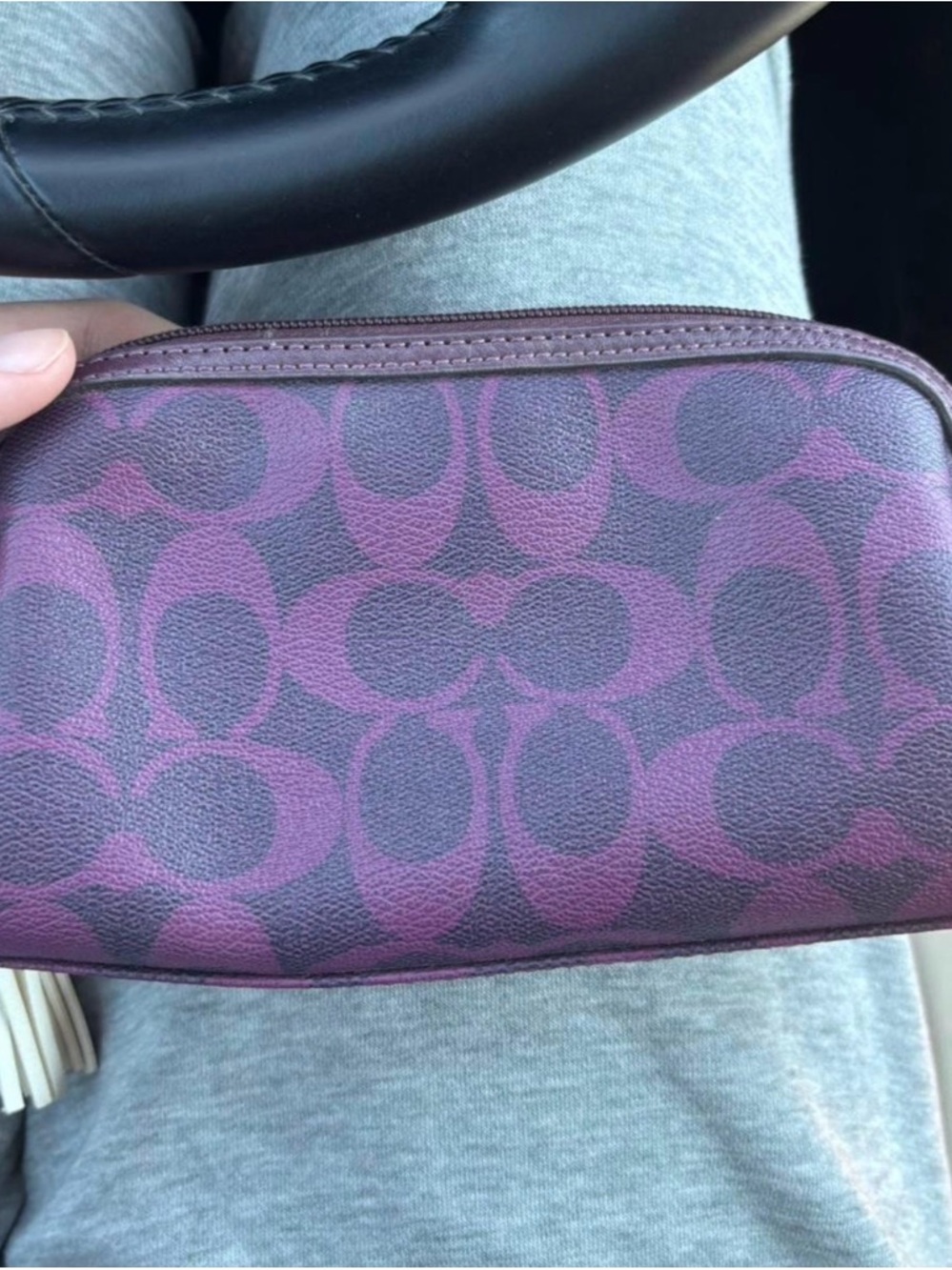 Coach Signature Cosmetic Pouch in Plum and Dark Purple